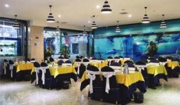 餐厅爆料师姐视频播放,视频揭秘美食背后的故事