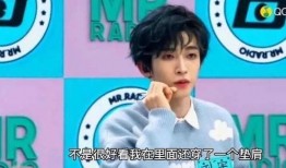 刘宇娱乐爆料视频大全下载,揭秘娱乐圈幕后故事