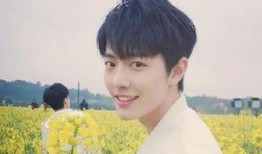 王源娱乐圈吃瓜爆料事件,揭秘吃瓜背后的真相与影响