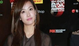 狗仔爆料刘雯视频播放下载,刘雯视频播放下载，一睹时尚女神风采