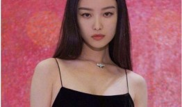 扒叔爆料李小璐倪妮视频,扒叔独家爆料引发热议