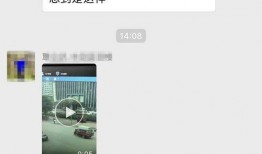 柳州饭店爆料视频播放,揭秘背后惊人真相