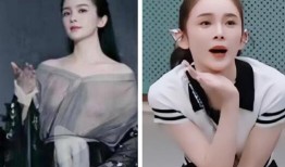 爆料赵樱子原视频,真实与想象的碰撞