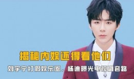 刘宇娱乐爆料视频大全下载,揭秘娱乐圈幕后故事