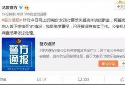 柯基狗最新爆料,揭秘网红宠物的日常生活与趣事