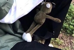 吃瓜小熊男网红,揭秘网络红人的幕后生活