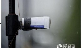 最新鱼竿爆料新闻内容,创新设计引领钓鱼潮流