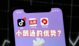 小博海鲜爆料视频在线观看,揭秘海鲜市场幕后真相，在线观看视频大揭秘