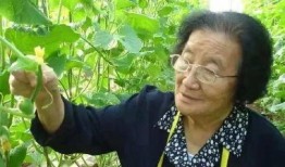 吃瓜娱乐如果星星不说话,揭秘“如果星星不说话”的神秘魅力