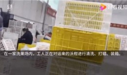 怎么在澎湃新闻上爆料