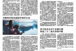 合肥作家爆料新闻最新报道,最新爆料新闻揭秘