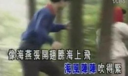 飞向我在线观看,一场跨越时空的奇幻之旅