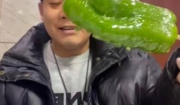 福州网红吃瓜九千仔是谁,背后的故事与影响力