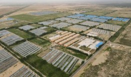 隐秘吃瓜馆解说全集免费观看,揭秘娱乐圈幕后故事，全集免费观看大揭秘