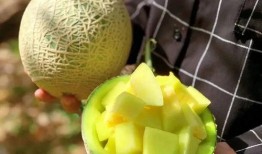 娱乐圈吃瓜壁纸高清,高清揭秘明星幕后生活