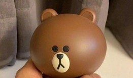 小熊被爆料抄袭视频,揭秘网络红人背后的争议与真相