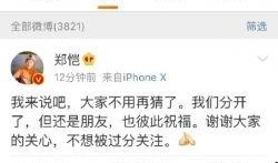 郑恺收入爆料最新消息新闻,最新爆料揭示明星收入真相