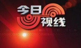 今日视线新闻爆料视频,视频揭秘事件真相