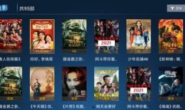 爽爽大仙爆料视频在线观看,揭秘幕后真相，带你领略精彩瞬间