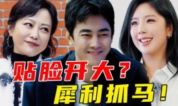 娱乐圈前排吃瓜小说推荐,前排吃瓜，揭秘明星背后的秘密