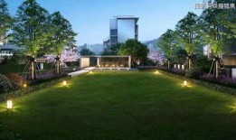 奇杰cp最新爆料视频,甜蜜互动引粉丝尖叫