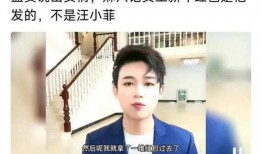 黑粉爆料汪小菲视频大全