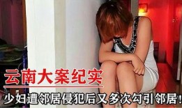 爆料大案少妇案件视频大全,视频大全背后的惊人真相