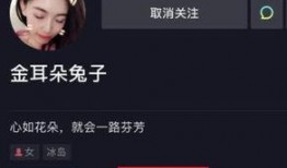 圈内人爆料娱乐圈离婚,揭秘明星婚姻背后的真相