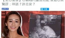 晋江二姐 爆料视频,揭秘娱乐圈幕后真相