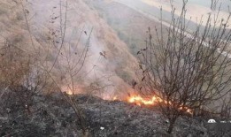 狮子山爆料视频最新版本,独家内幕大曝光！