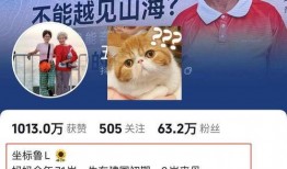 小熊被爆料抄袭视频,揭秘网络红人背后的争议与真相