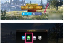 精英僵尸爆料视频下载安装,下载安装流程全解析