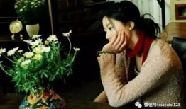 雏菊韩剧在线观看,浪漫复仇与爱情的交织