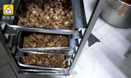 烧烤外卖爆料怎么做的视频,跟随视频学做美味烧烤