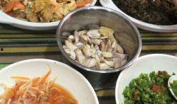 老梁爆料拉面视频大全下载,一场味蕾与视觉的盛宴