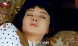 胭脂全集在线观看,一场跨越时空的浪漫传奇