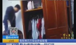 爆料大案少妇案件视频大全,视频大全背后的惊人真相